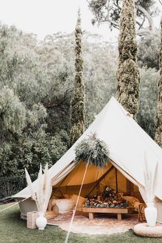 a tent set up in the middle of some trees with plants growing out of it