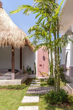 a walkway between two buildings with grass on each side and palm trees in the middle