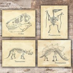 four dinosaurs are shown in this set of four prints, each with an animal's skeleton