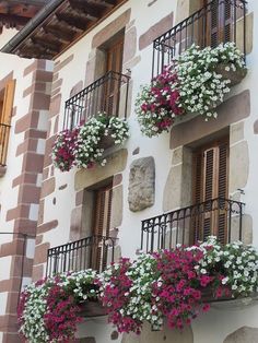 flowers are hanging from the balconies on this building