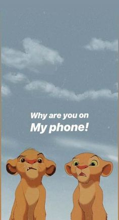 two lions sitting next to each other with the words why are you on my phone?