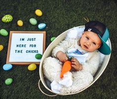 a baby is sitting in a bucket holding a carrot and wearing a hat that says i'm just here for the chicks