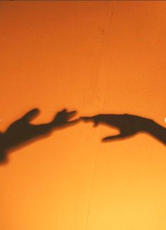 the shadow of a person on a skateboard in front of an orange wall with white lights