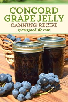 two jars filled with blueberries sitting on top of a table next to some grapes