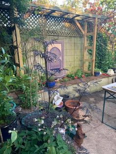 an outdoor area with various plants and pots