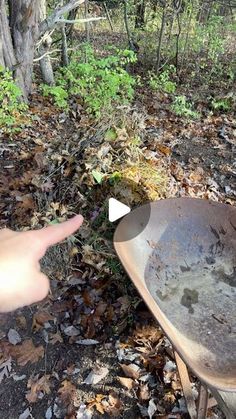 Making Compost, Backyard Homestead, Composting 101, Compost Pile, How To Make Compost, Cell Structure, Composting, Organic Matter, Energy Sources