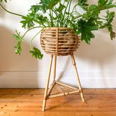 a potted plant sitting on top of a wooden stand