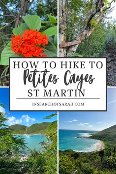 some pictures with the words how to hike to pitt's caves st martin