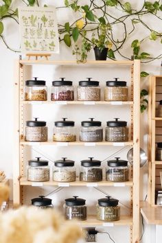 the shelves are filled with various types of spices