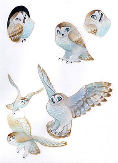 four owls are flying in the air with their wings spread out and one is looking up