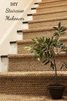 a potted plant sitting on top of a carpeted stair case next to a banister