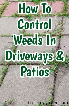 the words how to control weeds in driveways and patios are written on top