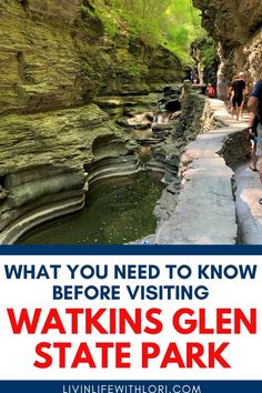 people walking along the side of a river with text overlay that reads what you need to know before visiting wakins glenn state park