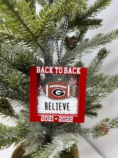 a christmas ornament hanging from the side of a pine tree that reads back to back believe