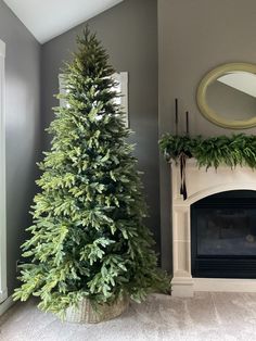 a christmas tree in a living room next to a fireplace