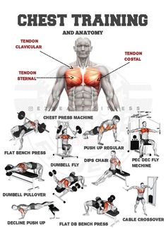 the chest training poster shows how to use dumbbells and press - up exercises