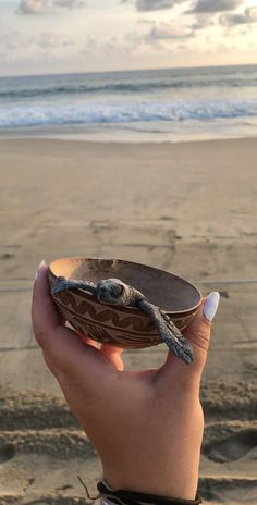 a person holding up a bowl with a bird on it in front of the ocean