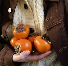 a person holding several orange tomatoes in their hands and wearing a brown jacket with buttons