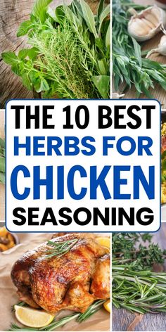 The 10 best herbs for chicken seasoning with images of various herbs and a roasted chicken. Herbs Chicken Recipes, Homemade Poultry Seasoning Recipe, Poultry Seasoning Recipe, Herby Chicken, Chicken Seasoning Mix, List Of Herbs, Herb Chicken Recipes, Herbs For Chickens, Chicken Seasoning Recipes