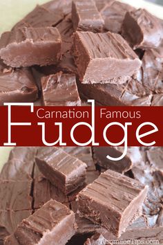 chocolate fudge cake on a plate with the title overlay that reads, cinnamon famous fudge