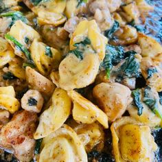 pasta with chicken, spinach and cheese in a sauce on a black plate next to a fork