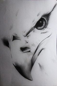 a pencil drawing of an owl's face with its hands on the nose and eyes open