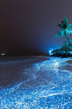 a beach covered in blue lights next to palm trees