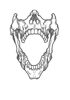 an animal's skull with the lower jaw open and teeth missing, in black and white