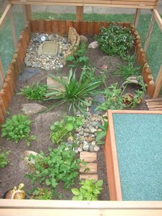 a small garden with rocks and plants in it