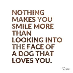 a quote that says nothing makes you smile more than looking into the face of a dog that loves you