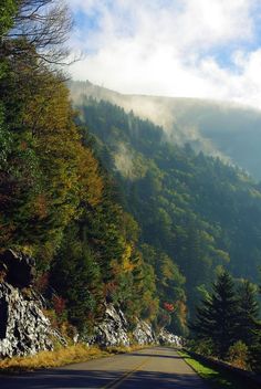 an empty road surrounded by trees and mountains