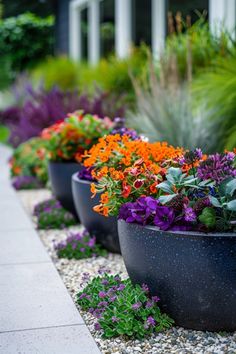 Explore stunning hellstrip makeovers to enhance curb appeal. This pin features creative and sustainable landscaping ideas along streetsides for low-maintenance beauty.