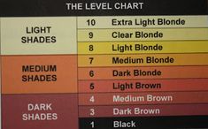 level groups note level 6 medium range Hair Colour Chart, Cosmetology State Board Exam, Cosmetology State Board, Bleach And Tone, Blonde High, Hair Colouring, Cabello Hair, Hair Color Formulas, Hair Color Chart