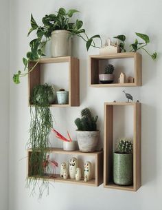 three wooden shelves with plants on them and some other items in front of the wall