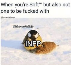 Infp Funny Humor, Infp Facts, Infp Things, Infp Vibes, Infp Core, Infp Problems, Infp Intp