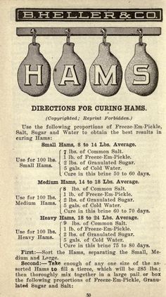 an old advertisement for hams hanging from a rack with three bulbs on it and the words hams above them