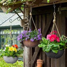 three hanging pots filled with colorful flowers in front of a wooden structure and green house