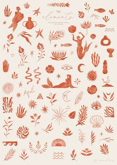 an orange and white poster with different types of plants, animals and other things on it