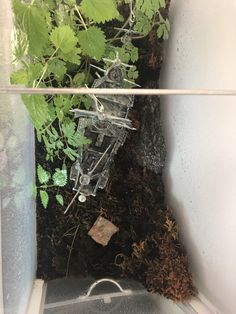 the inside of a planter with plants growing out of it's bottom half