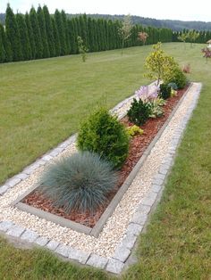 a garden with gravel, rocks and plants in the middle on grass lawning area