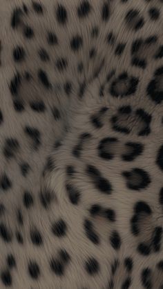 an animal with black spots on it's fur is seen in this close up photo