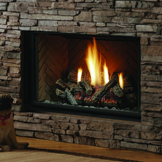 a dog sitting on the floor in front of a fire place with logs and flames