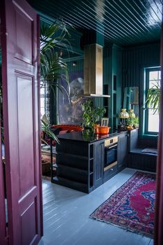 an open door leading to a kitchen with plants on the counter and potted plants