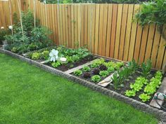 a garden with many different types of plants and flowers in the grass next to a wooden fence