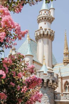 a castle with pink flowers in front of it