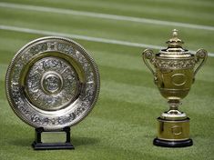 two trophies sitting on top of a green field