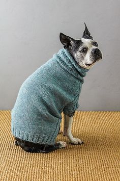 a small dog wearing a sweater sitting on the floor