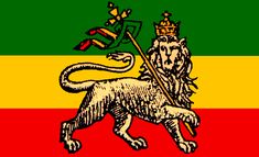 the flag of sri is shown in red, green, and yellow with a lion on it