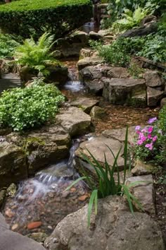 a small stream running through a lush green forest filled with rocks and flowers, surrounded by greenery