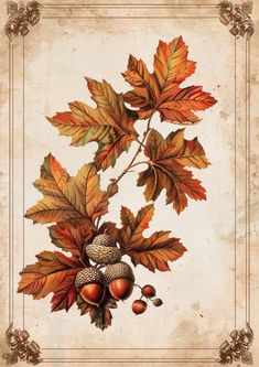 a painting of leaves and acorns on a white background